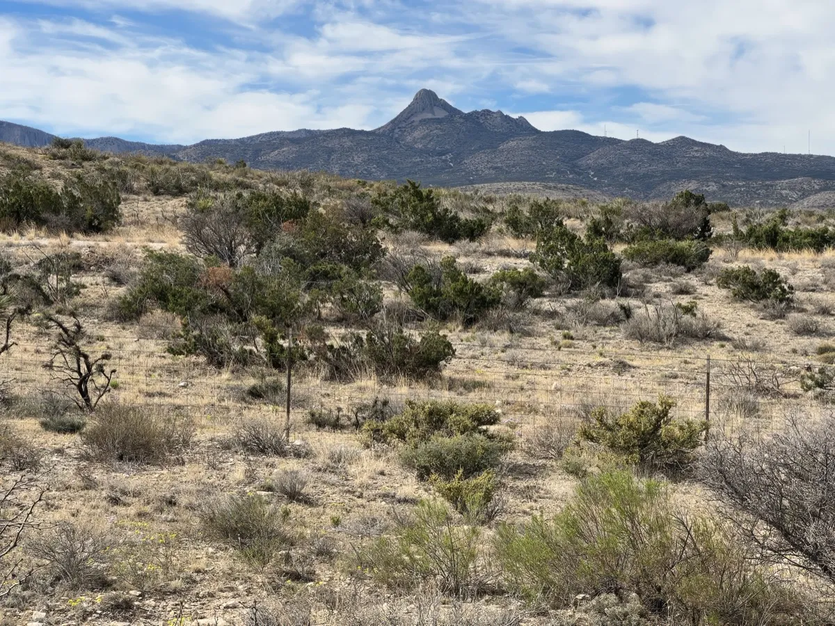 Chihuahuan Desert Nature Center